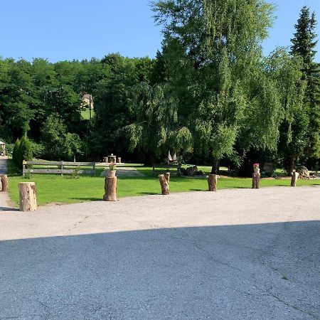Landgasthof Steinmuehl Hofbauer Fruehstueckspension Und Campingplatz Вайдхофен ан дер Ибс Екстериор снимка