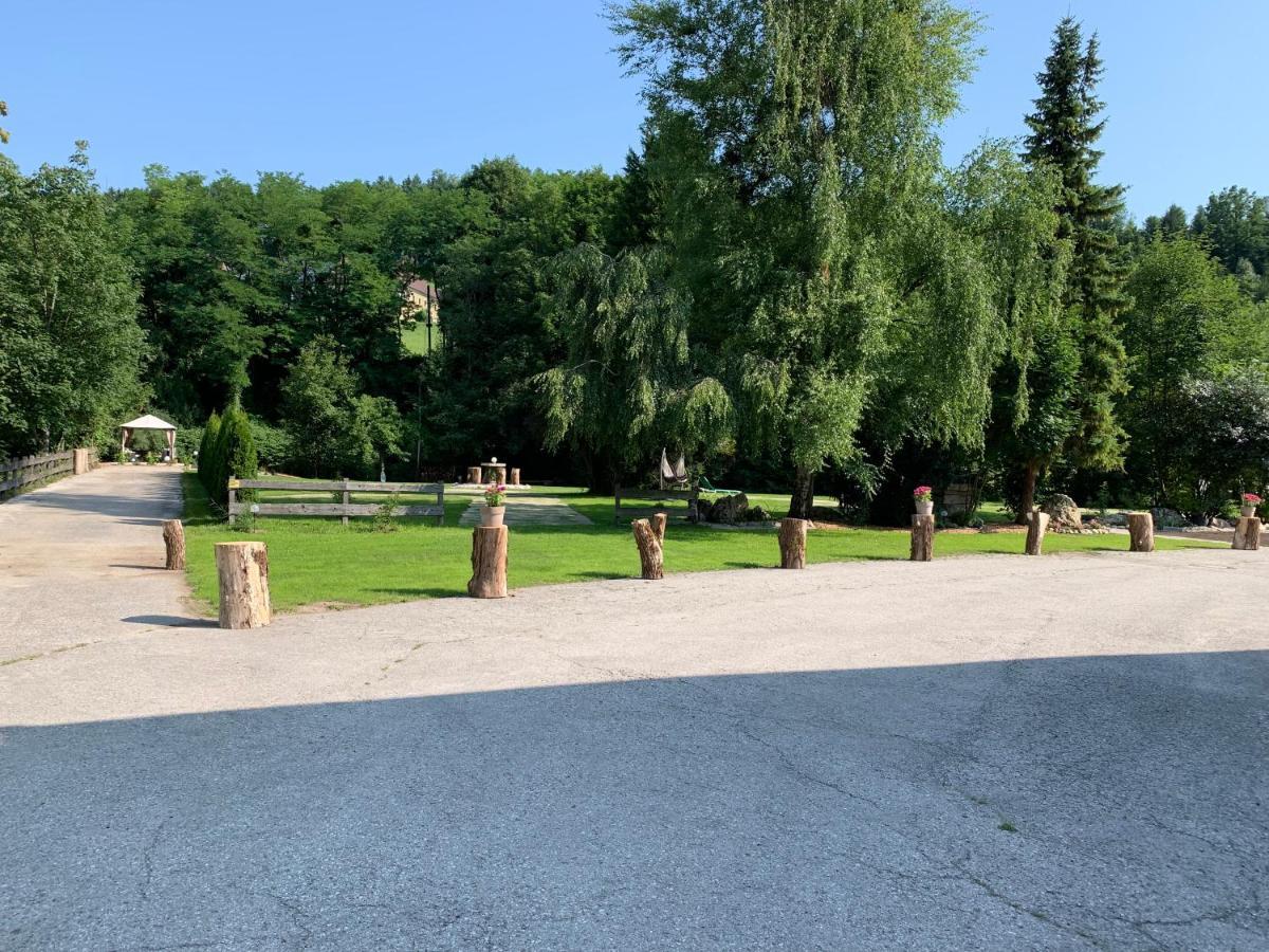 Landgasthof Steinmuehl Hofbauer Fruehstueckspension Und Campingplatz Вайдхофен ан дер Ибс Екстериор снимка